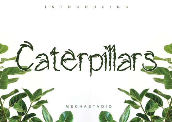 Choosing Caterpillars: A Font That Builds Your Brand